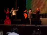 /album/fotogaleria-concierto-cerro-muriano-cordoba-/a1-jpg1/