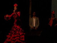 /album/fotogaleria-concierto-cerro-muriano-cordoba-/a4-jpg1/