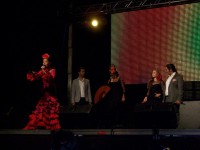 /album/fotogaleria-concierto-cerro-muriano-cordoba-/a5-jpg1/